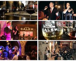 Cálem Port Wine Cellar Tour & Taste and Fado in Porto